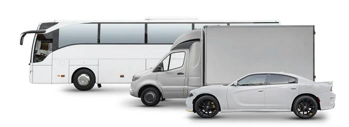 Buses & Cars